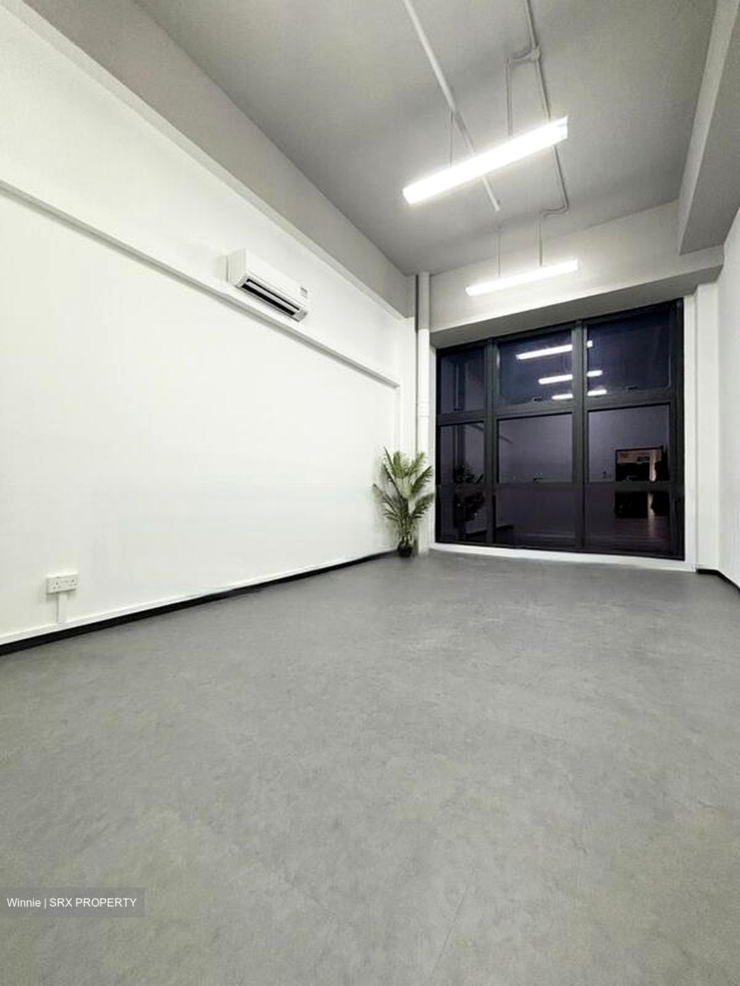 Primz Bizhub (D25), Factory #462638481